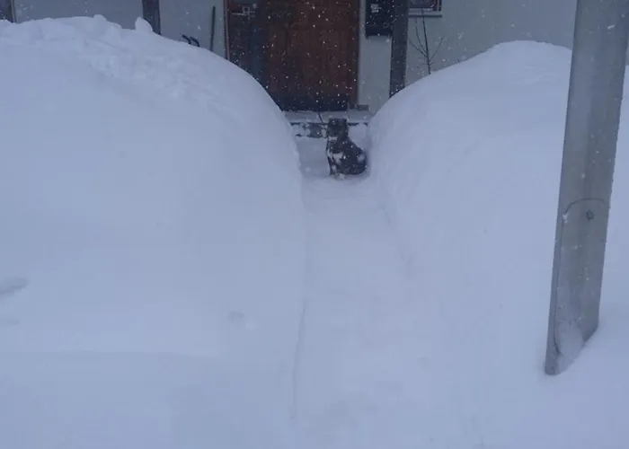 公寓 Entspannungsurlaub Mit Hund